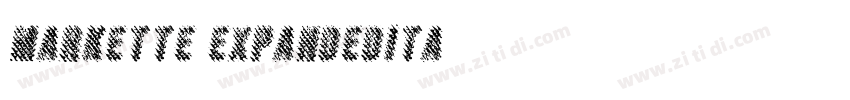 Markette ExpandedIta字体转换